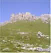Elfer